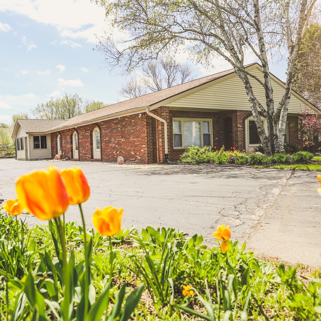 Transformation Behavioral Health Associates